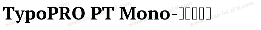 TypoPRO PT Mono字体转换